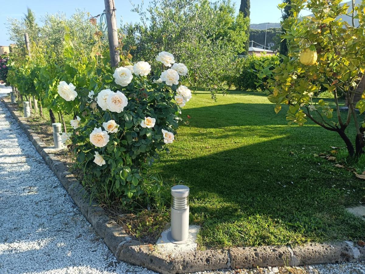 La Casa Di Samarcanda Uliveto Terme Εξωτερικό φωτογραφία